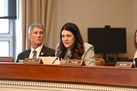 Bice at MilCon hearing