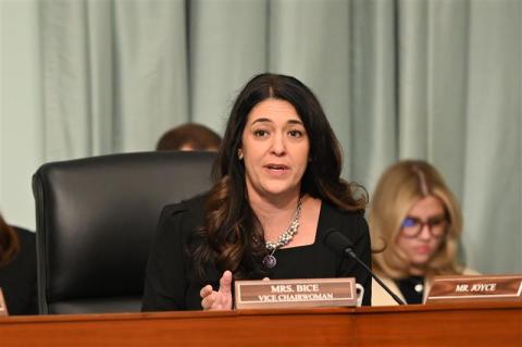 Bice at THUD hearing