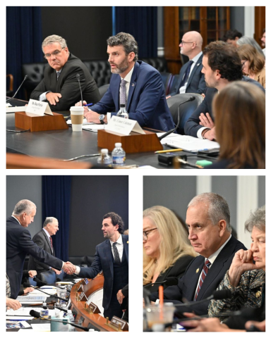 Subcommittee Chairman Diaz Balart and Witnesses