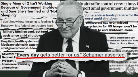Schumer Shutdown