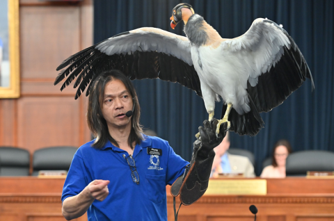 Birds of Prey Briefing