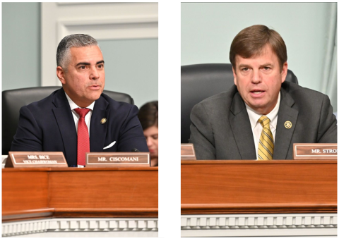  Subcommittee Members