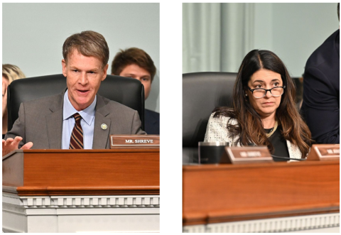 Subcommittee Members