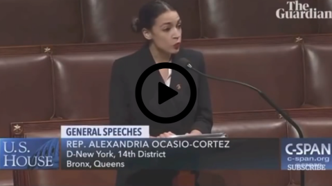 Democrats in their own words